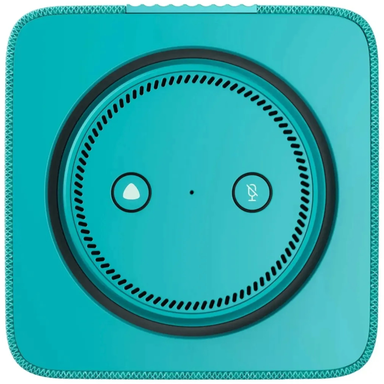 Умная колонка Яндекс.Станция Макс с Zigbee бирюзовый